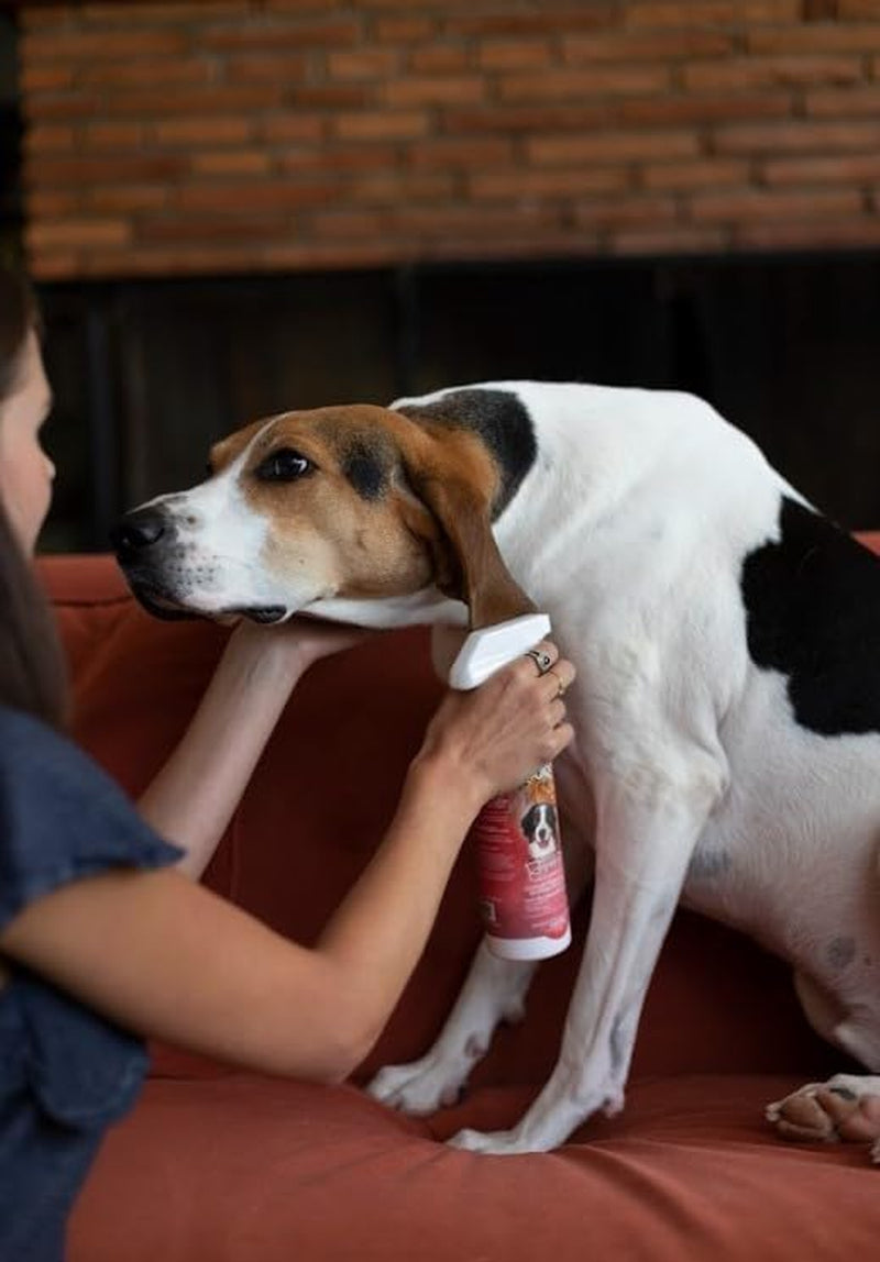 Flea & Tick Dog Shampoo – Flea and Tick Prevention for Dogs, Cat Flea Treatment, Cruelty-Free, Made in USA, Natural Tick Repellent, Protein-Lanolin Shampoo – 1 Gallon