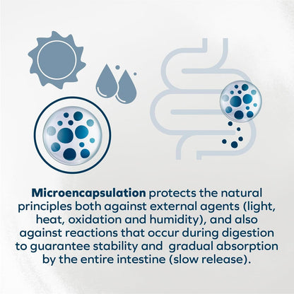 - Dog Food, Vet Formulated Wet Dog Food for Kidney Support, Non-Gmo, Lamb Flavor, Made in Italy (3.5 Oz, 32 Pack)